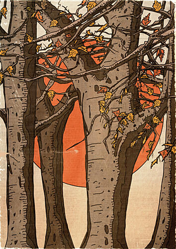 Autumn Forest Sunset Art Print