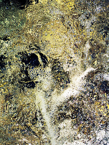Liquid Gold 3 Gold Print