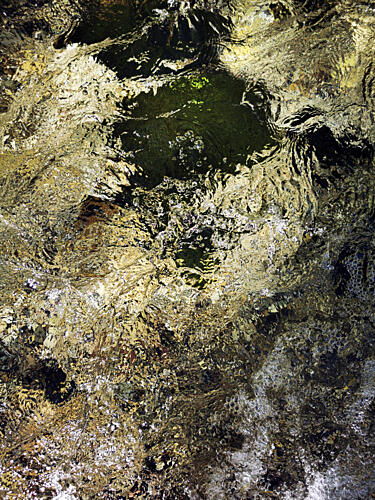 Golden Water Shimmer Gold Print
