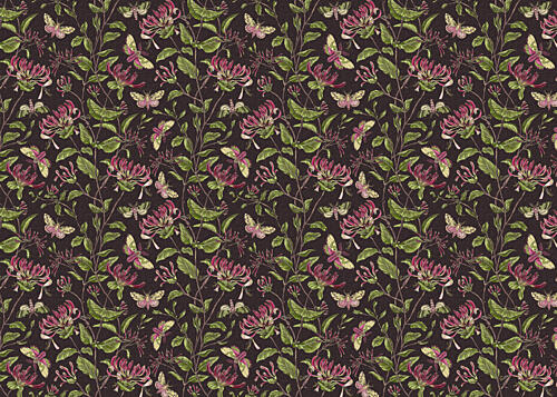 Dark Honeysuckle Garden Art Print by Olena Kovalova
