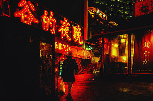 Tokyo Neon Night Art Print