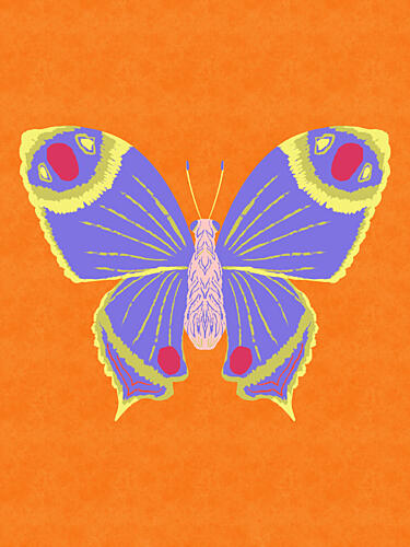 Vibrant Purple Butterfly Art Print
