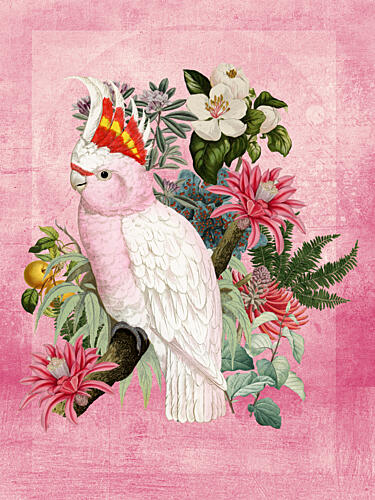 Pink Cockatoo Tropical Bloom Art Print