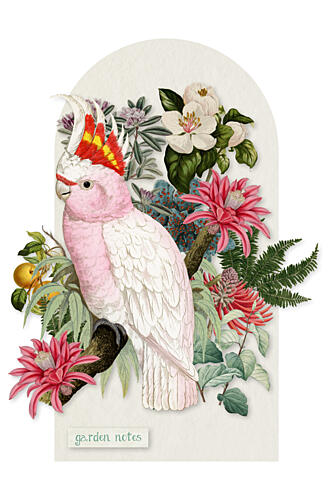Pink Cockatoo Botanical Garden Art Print