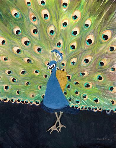 Fanned Peacock Display Art Print