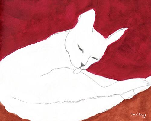 White Cat Grooming Art Print