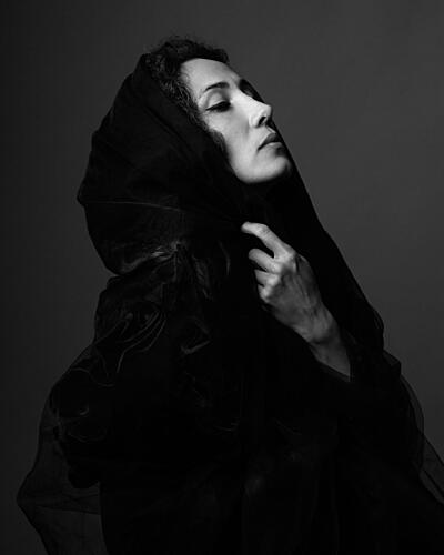 Mysterious Veiled Woman Art Print
