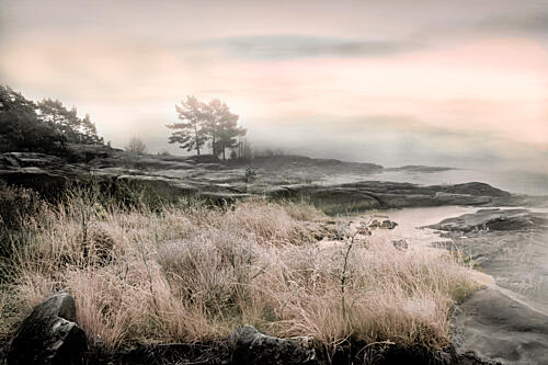Misty Winter Shore Art Print