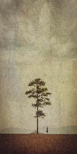 Solitary Tree Field Art Print