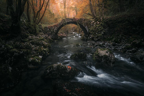 Autumn Forest Bridge Art Print