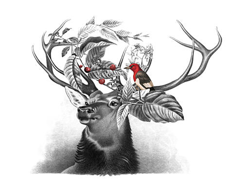 Wild Stag Red Bird Art Print