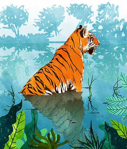 Wild Tiger Reflection Art Print