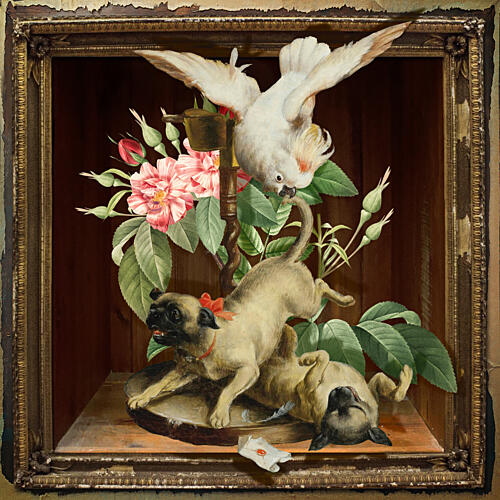 Playful Pugs and Cockatoo Art Print