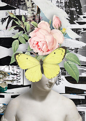 Butterfly Rose Bust Art Print