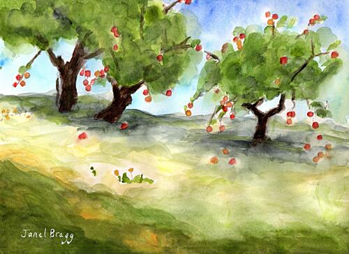Sunny Apple Orchard Art Print