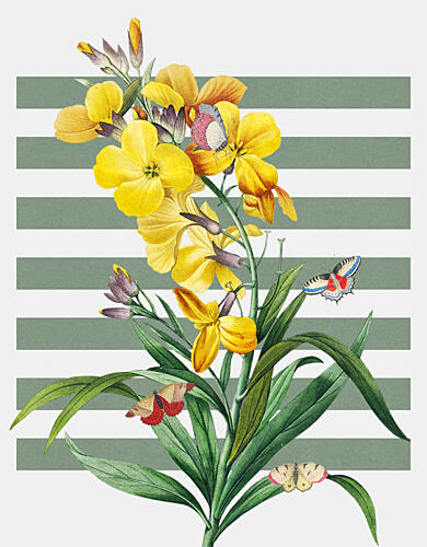Yellow Blooms and Butterflies Art Print