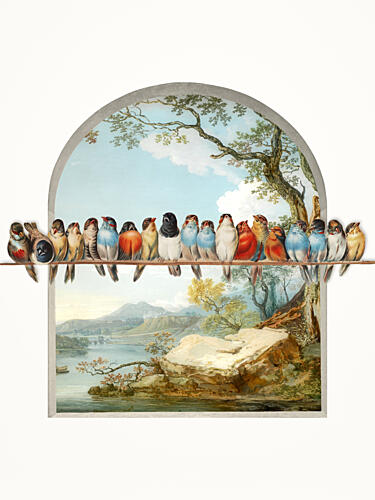 Birds over Serene Landscape Art Print