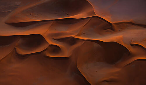 Golden Desert Sands Gold Print