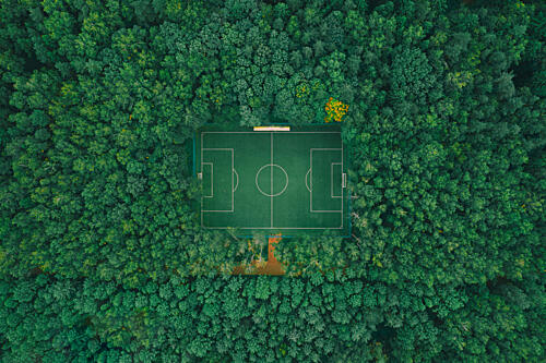 Forest Football Field Art Print