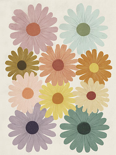 Colorful Daisy Blooms Art Print