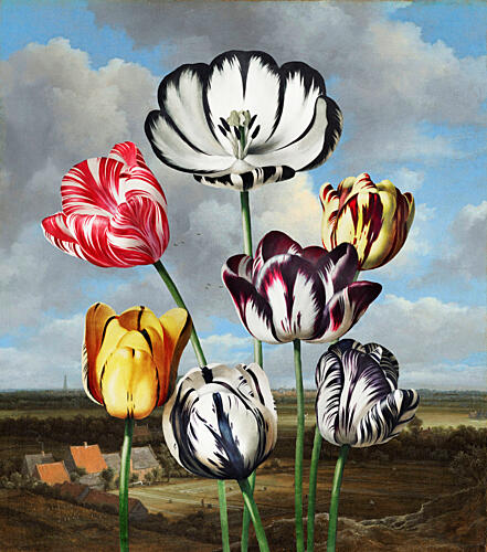 Vibrant Dutch Tulips Art Print