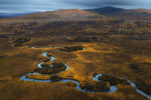 Golden Meandering River Gold Print