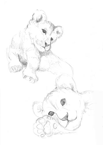 Lion Cubs Art Print