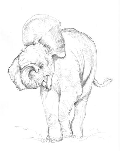 Baby Elephant 02 Art Print