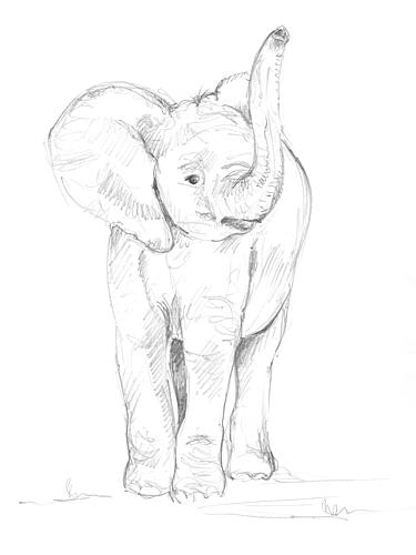 Baby Elephant 02 Art Print