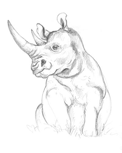 Rhinoceros Art Print