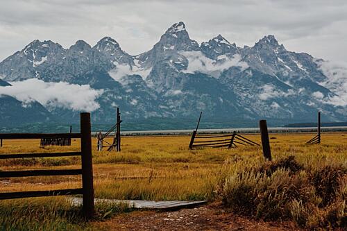 Majestic Mountains Golden Field Art Print