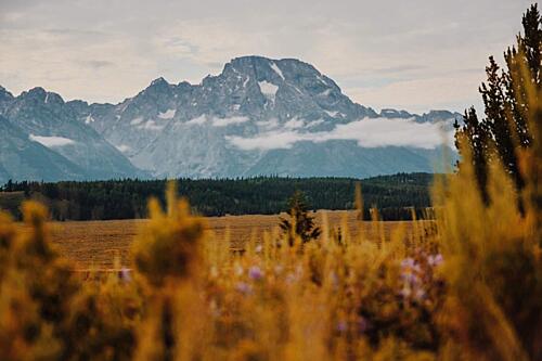Majestic Mountain Landscape Art Print by del Mundo Portraits