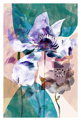 Translucent Floral Anemones Art Print by Cartissi