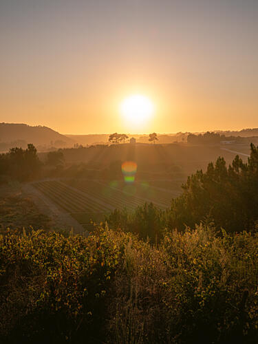 Portugal Summer Gold Print