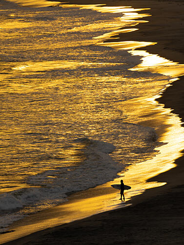 Golden Hour Surfer Gold Print
