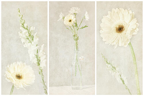 Soft White Blooms Art Print