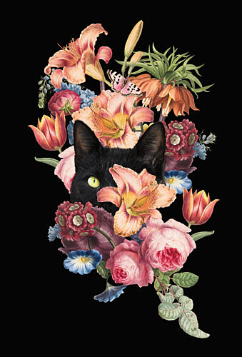 Peeking Cat Among Blooms Art Print