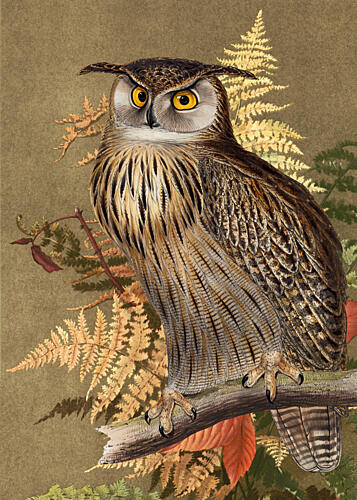 Watchful Horned Owl Gold Print