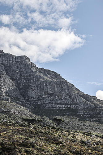 Table Mountain Art Print