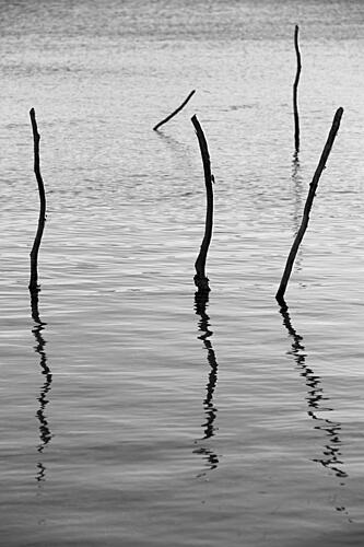 Reflected Stillness Art Print