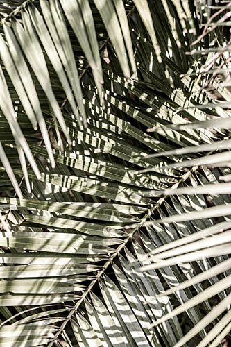 Graphic Breeze Art Print