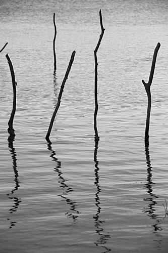 Sticks and Shadows Art Print