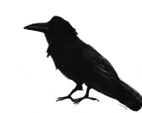 Black Crow Silhouette Art Print