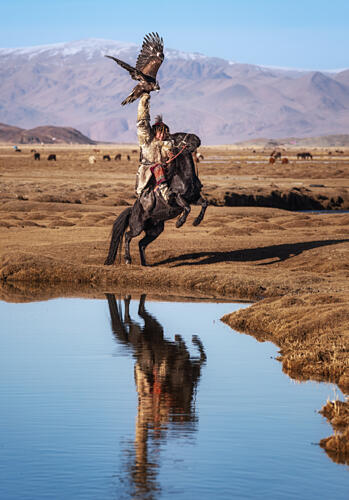 Golden Eagle Hunter Reflection Gold Print