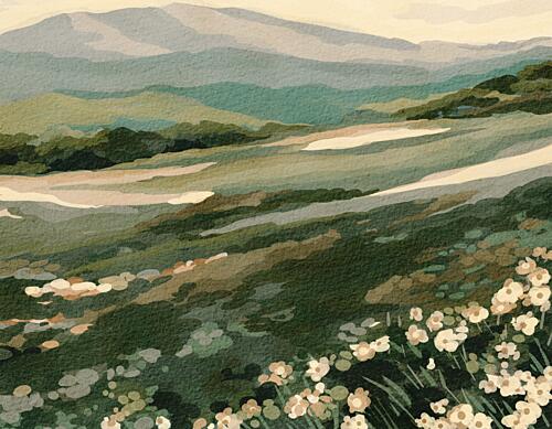 Wildflower Mountain Landscape Art Print