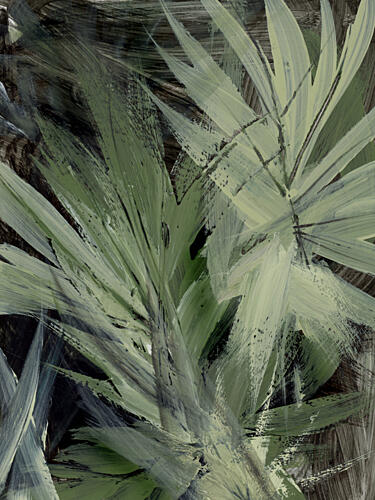 Forest Art Print