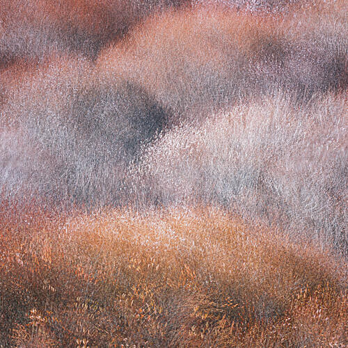 Earthy Textured Landscape Art Print by Dawn X W