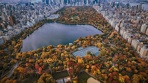 Central Park Fall Foliage Art Print by Wei David Dai