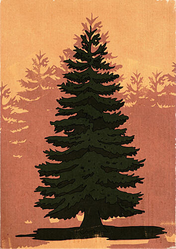 Evergreen Forest Glow Art Print