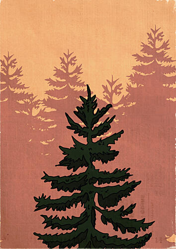 Misty Evergreen Forest Art Print